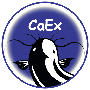 CaEx